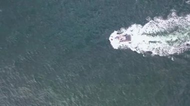 Donegal Körfezi 'ndeki teknenin hava manzarasına yunuslar eşlik ediyor, İrlanda.