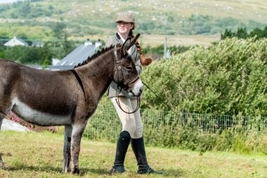 MEENACES, COUNTY DONEGAL, IRELAND - AĞUSTOS 04 2025: Mary Ann Elliott Meencross Tarım Fuarı 'ndaki eşeği ile birincilik ödülünü kazanıyor.