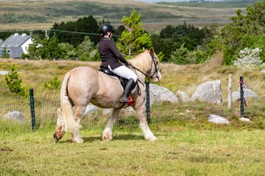 MEENACES, İKİ DONEGAL, İRELAND - 4 AĞUSTOS 2025: Danni Watters Gelişmiş Binicilik Bölümü 'ndeki performansı sırasında.