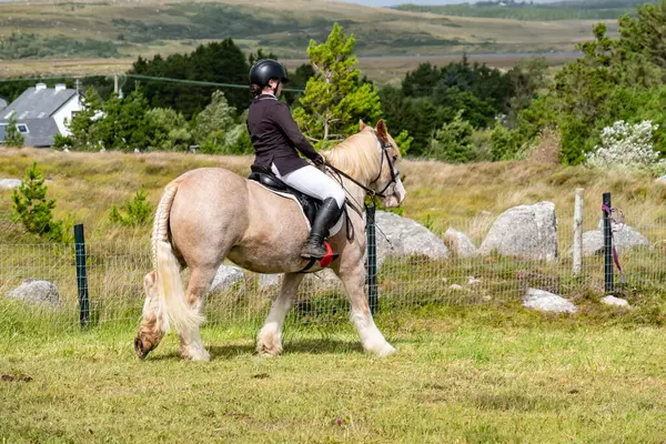 MEENACES, İKİ DONEGAL, İRELAND - 4 AĞUSTOS 2025: Danni Watters Gelişmiş Binicilik Bölümü 'ndeki performansı sırasında.