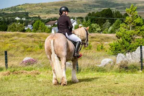 MEENACES, İKİ DONEGAL, İRELAND - 4 AĞUSTOS 2025: Danni Watters Gelişmiş Binicilik Bölümü 'ndeki performansı sırasında.