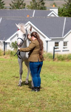 MEENAÇOCU, İRELYA, İRETİLYA - 4 AĞUSTOS 2025: Casey-Lee Hegarty Meencross Tarım Fuarı 'nın en büyük midillisi ödülüne gidiyor.-