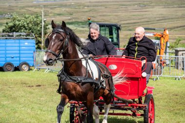 MEENACES, COUNTY DONEGAL, IRELAND - AĞUSTOS 04 2025: John McLaughlin Meencross Tarım Fuarı 'nda en iyi midilli yarışını kazanıyor.