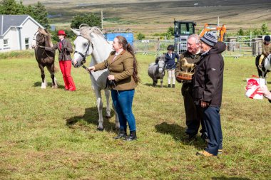 MEENACSİZ, İRELYA, İRETİLYA - 4 AĞUSTOS 2025 Casey-Lee Hegarty Meencross Tarım Fuarı 'nın en büyük midillisi ödülünü kazandı-