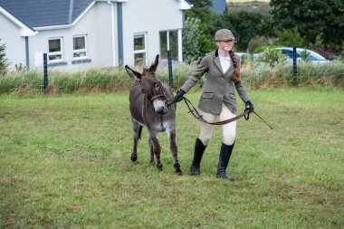 MEENACES, COUNTY DONEGAL, IRELAND - AĞUSTOS 04 2025: Mary Ann Elliott Meencross Tarım Fuarı 'ndaki eşeği ile birincilik ödülünü kazanıyor.