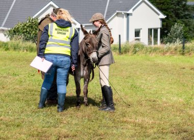 MEENACES, COUNTY DONEGAL, IRELAND - AĞUSTOS 04 2025: Mary Ann Elliott Meencross Tarım Fuarı 'ndaki eşeği ile birincilik ödülünü kazanıyor.