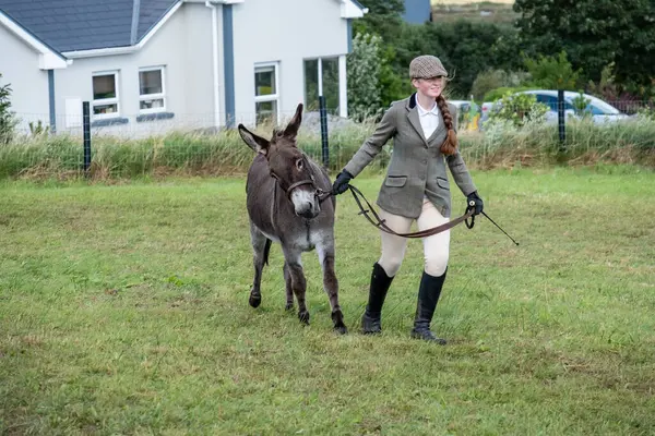 MEENACES, COUNTY DONEGAL, IRELAND - AĞUSTOS 04 2025: Mary Ann Elliott Meencross Tarım Fuarı 'ndaki eşeği ile birincilik ödülünü kazanıyor.
