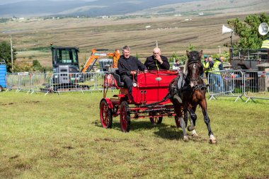 MEENACES, COUNTY DONEGAL, IRELAND - AĞUSTOS 04 2025: John McLaughlin Meencross Tarım Fuarı 'nda en iyi midilli yarışını kazanıyor.