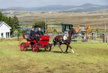 MEENACES, COUNTY DONEGAL, IRELAND - AĞUSTOS 04 2025: John McLaughlin Meencross Tarım Fuarı 'nda en iyi midilli yarışını kazanıyor.
