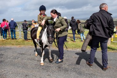 MEENACES, İKİNCİ DONEGAL, İRELAND - 4 AĞUSTOS 2025: Brooke O Brien Meencross Tarım Fuarı 'na hazırlanıyor.
