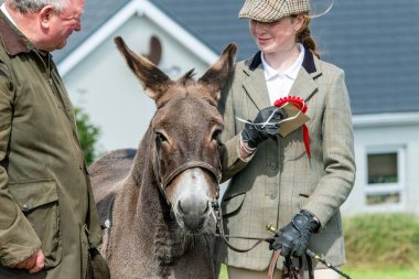 MEENACES, COUNTY DONEGAL, IRELAND - AĞUSTOS 04 2025: Mary Ann Elliott Meencross Tarım Fuarı 'ndaki eşeği ile birincilik ödülünü kazanıyor.