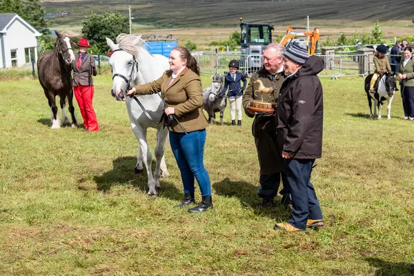 MEENACSİZ, İRELYA, İRETİLYA - 4 AĞUSTOS 2025 Casey-Lee Hegarty Meencross Tarım Fuarı 'nın en büyük midillisi ödülünü kazandı-