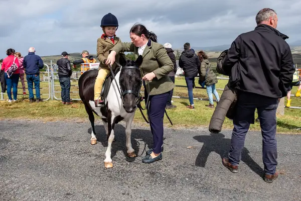 MEENACES, İKİNCİ DONEGAL, İRELAND - 4 AĞUSTOS 2025: Brooke O Brien Meencross Tarım Fuarı 'na hazırlanıyor.