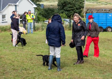 MEENACİL, İKİNCİ DONEGAL, İRELAND - 4 AĞUSTOS 2025: Köpek bölümünün katılımcıları Meencross Tarım Fuarı 'nın tadını çıkarıyorlar.