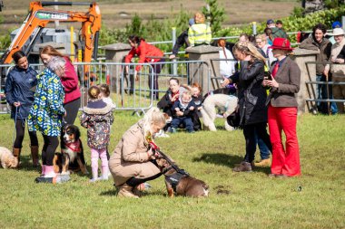 MEENACİL, İKİNCİ DONEGAL, İRELAND - 4 AĞUSTOS 2025: Köpek bölümünün katılımcıları Meencross Tarım Fuarı 'nın tadını çıkarıyorlar.