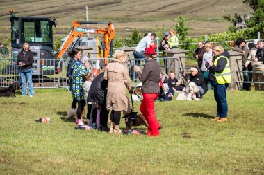 MEENACİL, İKİNCİ DONEGAL, İRELAND - 4 AĞUSTOS 2025: Köpek bölümünün katılımcıları Meencross Tarım Fuarı 'nın tadını çıkarıyorlar.