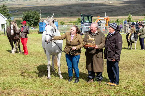 MEENACSİZ, İRELYA, İRETİLYA - 4 AĞUSTOS 2025 Casey-Lee Hegarty Meencross Tarım Fuarı 'nın en büyük midillisi ödülünü kazandı-