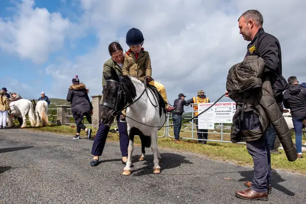 MEENACES, İKİNCİ DONEGAL, İRELAND - 4 AĞUSTOS 2025: Brooke O Brien Meencross Tarım Fuarı 'na hazırlanıyor.