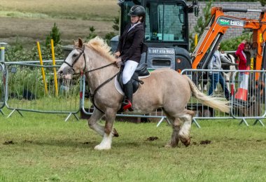MEENACES, İKİNCİ DONEGAL, İRELAND - 4 AĞUSTOS 2025: Danni Watters gelişmiş binicilik bölümü için Terence Bonner anıtı almaya hazırlanıyor.