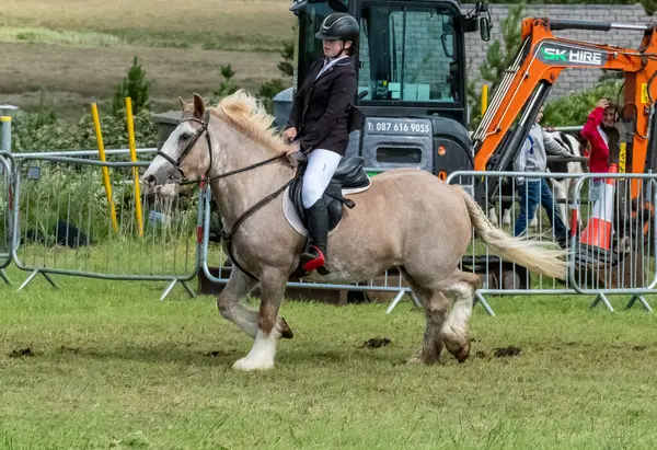 MEENACES, İKİNCİ DONEGAL, İRELAND - 4 AĞUSTOS 2025: Danni Watters gelişmiş binicilik bölümü için Terence Bonner anıtı almaya hazırlanıyor.