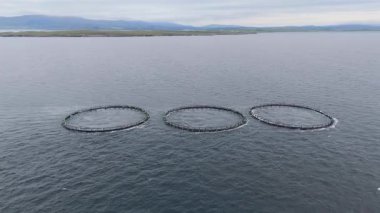 Donegal, İrlanda 'da balık çiftliğinin hava görüntüsü.