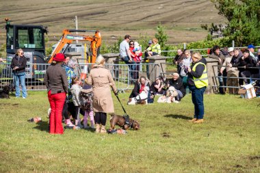 MEENACİL, İKİNCİ DONEGAL, İRELAND - 4 AĞUSTOS 2025: Köpek bölümünün katılımcıları Meencross Tarım Fuarı 'nın tadını çıkarıyorlar.