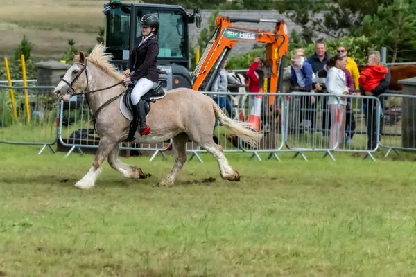 MEENACES, İKİNCİ DONEGAL, İRELAND - 4 AĞUSTOS 2025: Danni Watters gelişmiş binicilik bölümü için Terence Bonner anıtı almaya hazırlanıyor.