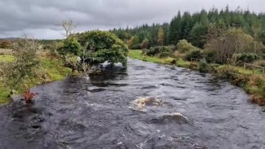Ardara 'nın kıyısındaki Owenea Nehri, Donegal - İrlanda.