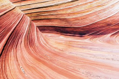 Dalga, Coyote Buttes North 'taki taşlaşmış kum tepecikleri şeklinde müthiş canlı bir girdaptır. Paria Canyon-Vermilion Cliffs Wilderness, Arizona 'da görülebilir. ABD