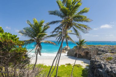 alt bay barbados Karayip Adası üzerinde en güzel plajlarından biridir. Turkuaz deniz üzerinde asılı avuç içi ile tropikal bir cennet