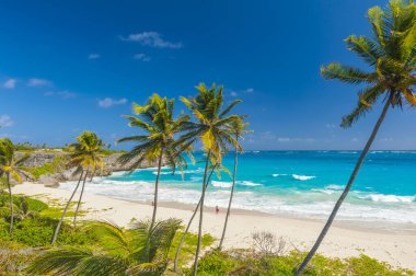 Bottom Bay is one of the most beautiful beaches on the Caribbean island of Barbados. It is a tropical paradise with palms hanging over turquoise sea and a pirate cave clipart