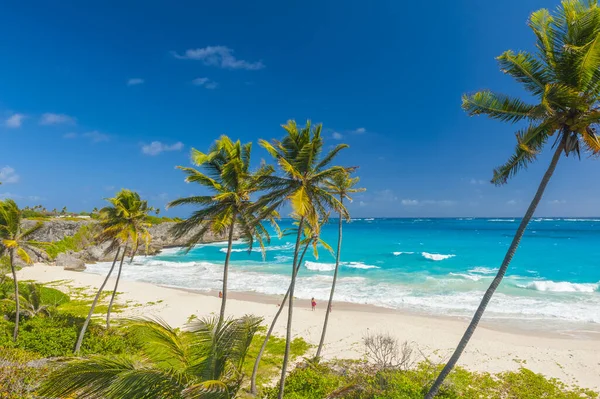 Dno Zatoki Jest Jedną Najpiękniejszych Plaż Wyspie Barbados Karaiby Jest Obraz Stockowy