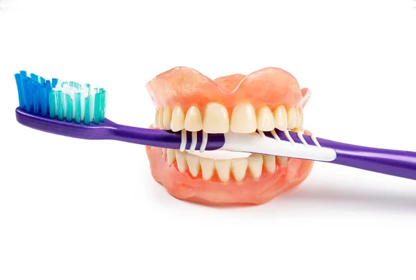 Зубы Зубной Щеткой Белом Фоне Медицинский Зубной Протез — стоковое фото