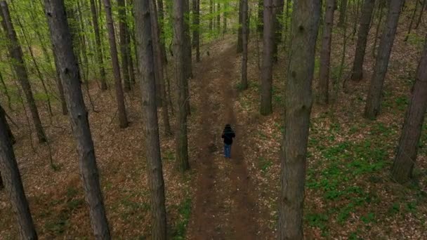 Вид Воздуха Человека Идущего Тропе Лесу — стоковое видео