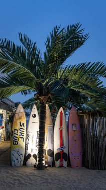 Geceleri Bulgaristan 'ın Sunny Beach sahilindeki sörf barı