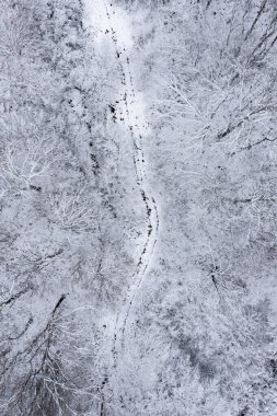 Aerial view of winter landscape with trees covered in snow in the park clipart