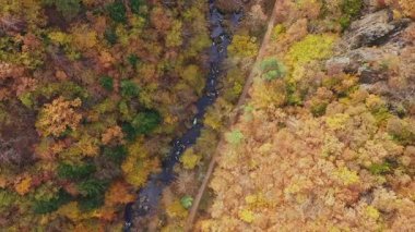 Bulgaristan 'ın Devin, Smolyan kenti yakınlarındaki ormanda sonbahar manzarası