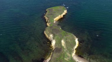 Karadeniz 'deki çarpıcı yeşil kayalık plajın havadan görünüşü