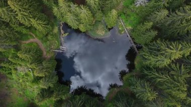 Ormandaki bir gölün havadan görünüşü. Smolyan gölleri, Smolyan, Bulgaristan