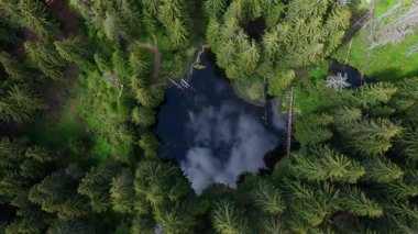 Ormandaki bir gölün havadan görünüşü. Smolyan gölleri, Smolyan, Bulgaristan