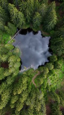 Ormandaki bir gölün havadan görünüşü. Smolyan gölleri, Smolyan, Bulgaristan