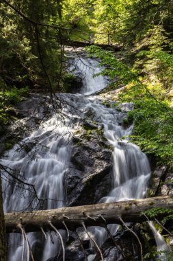 Bulgaristan 'ın Smolyan kentindeki Şelale Kanyonu' ndan güzel bir şelale.