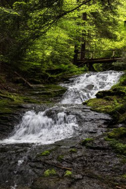 Bulgaristan 'ın Smolyan kentindeki Şelale Kanyonu' ndan güzel bir şelale.