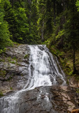 Bulgaristan 'ın Smolyan kentindeki Şelale Kanyonu' ndan güzel bir şelale.