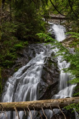 Bulgaristan 'ın Smolyan kentindeki Şelale Kanyonu' ndan güzel bir şelale.