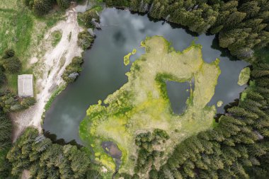 Ormandaki bir gölün havadan görünüşü. Smolyan gölleri, Smolyan, Bulgaristan