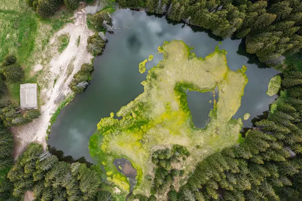Ormandaki bir gölün havadan görünüşü. Smolyan gölleri, Smolyan, Bulgaristan