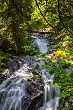 Bulgaristan 'ın Smolyan kentindeki Şelale Kanyonu' ndan güzel bir şelale.