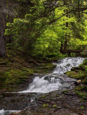 Bulgaristan 'ın Smolyan kentindeki Şelale Kanyonu' ndan güzel bir şelale.