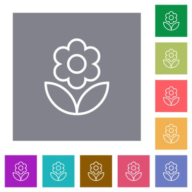 Basit renk kare arkaplan üzerinde tek çiçek ana hatları düz simgeler
